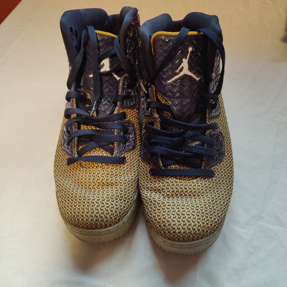 Jordan Air Spike Forty Dunk‎